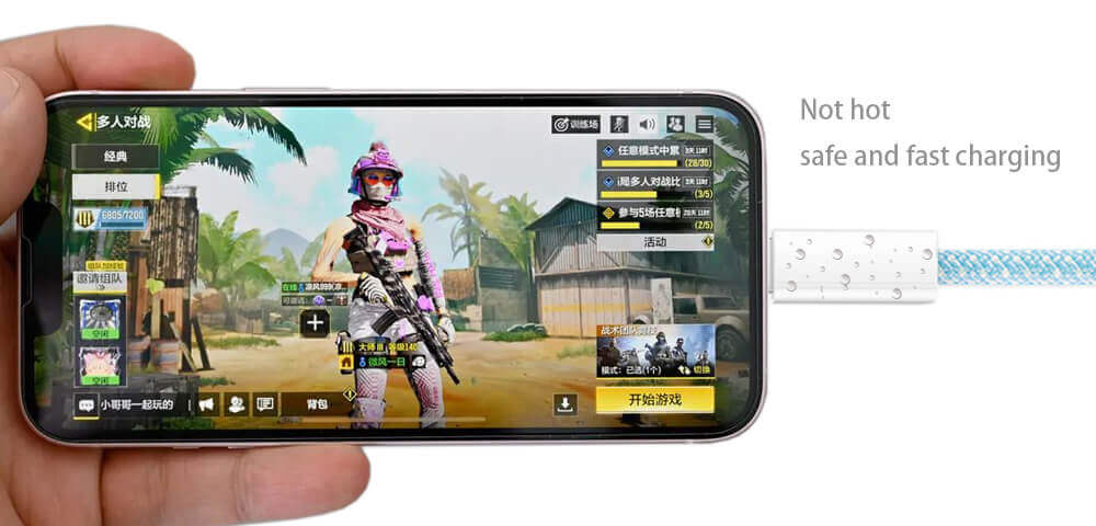 Game Play PD Charging Cable
